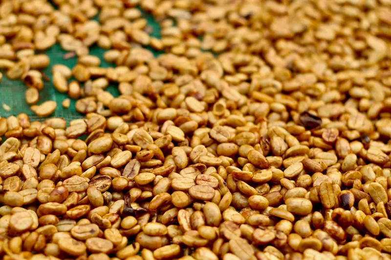 Parchment on drying beds